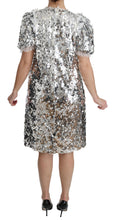 Load image into Gallery viewer, Dolce & Gabbana Elegant Silver A-Line Dress with Crystal Accents