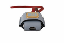 Load image into Gallery viewer, Dolce &amp; Gabbana Elegant Dual-Tone Leather Airpods Case
