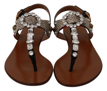 Load image into Gallery viewer, Dolce &amp; Gabbana Elegant Strappy Sandals with Exotic Charm
