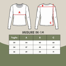 Load image into Gallery viewer, Colombo Elegant Grey Cashmere V-Neck Sweater
